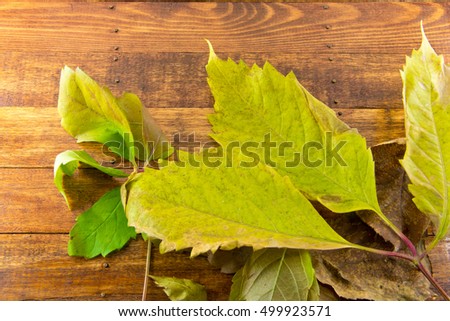 The Photo Autumn leaves lie on wooden background.