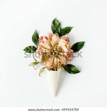 ice cream waffle cone with dried beige peony flower on white background, flat lay, top view. autumn wallpaper