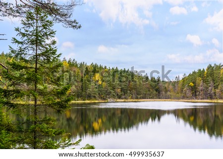 A forest lake in Tyresta National Park, Sweden Royalty-Free Stock Photo #499935637