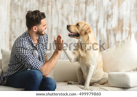 happy guy sitting on a sofa and looking at dog Royalty-Free Stock Photo #499979860