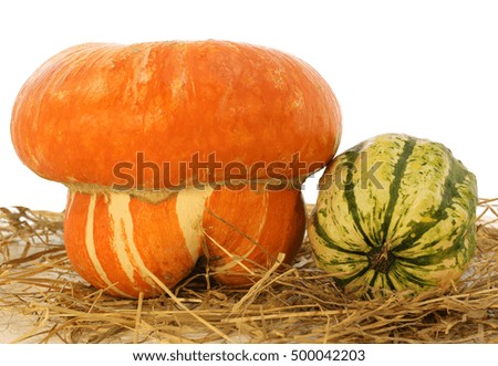 large orange pumpkin for halloween and a small green on the straw in the autumn