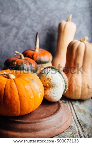 Autumn Pumpkin Thanksgiving Background - orange pumpkins over wooden table