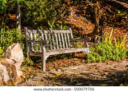 Wooden bench on a path with fallen leaves in the fall season.  