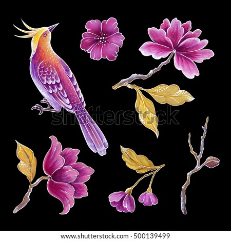 decorative bird, songbirds illustration, flowers and leaves, exotic nature clip art set, floral design elements isolated on black background