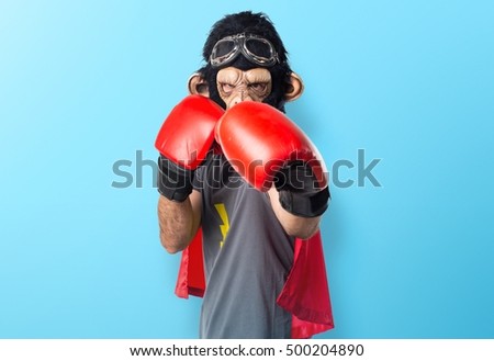 Superhero monkey man with boxing gloves over colorful backgound