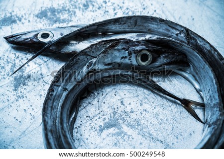 Scabbard Fish Stock Photos And Images Avopix Com