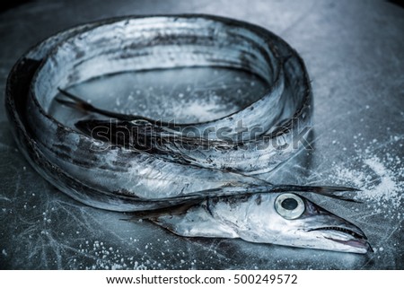 Scabbard Fish Stock Photos And Images Avopix Com