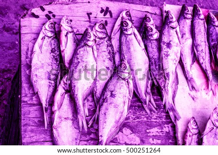 Dried fish on the table toned to color. Salty dry river fish on a background. Texture of dry fish toned to color, many fish against wooden table, high quality resolution