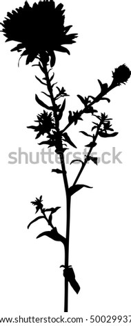 illustration with flower silhouette isolated on white background