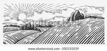 Rural landscape with hills, in the graphic style, illustration is hand-drawn. Royalty-Free Stock Photo #500335039