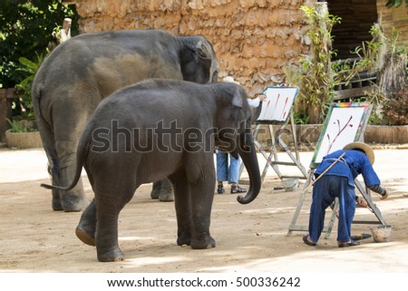 Mahout trains wild elephant to paint picture for tourism in thailand.