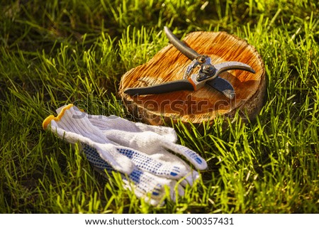 Pruning shears on a wooden stump in grass