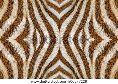 Zebra skin for background.