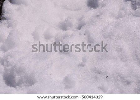 Photo Picture of Snow texture pattern for the background