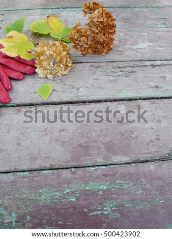 Arrangement of dried flowers with leaves on old wooden boards background with free space -place for photo and text. Autumn still life with hydrangea hortensia and gloves on vintage wooden texture.