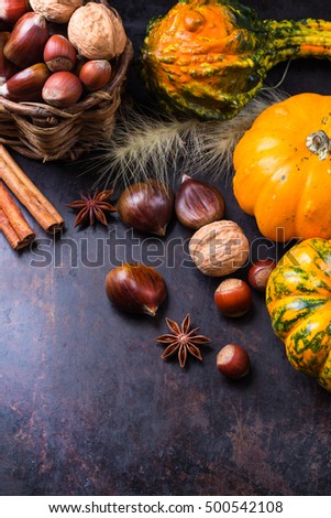 Autumn fall halloween still life composition with pumpkin nuts chestnut