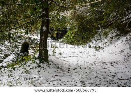 Ancient rocky road covered with snow, exit from Karyes, Mount Athos