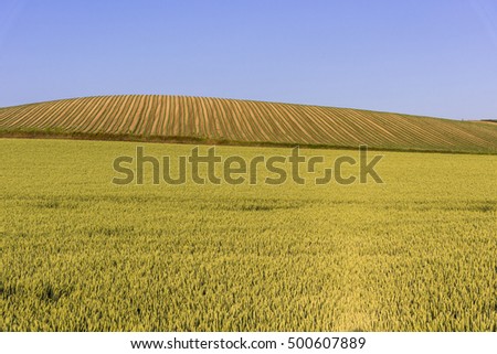 biei rural landscape