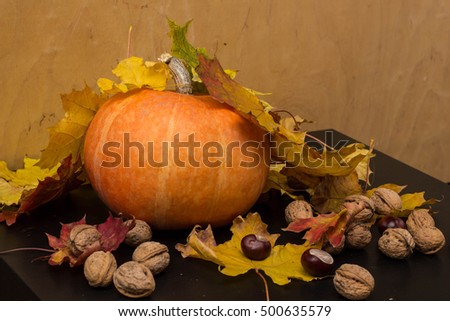 October nature concept with pumpkins, walnuts, chestnuts and autumn leaves