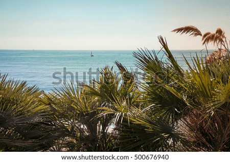 Palm trees against the Mediterranean Sea