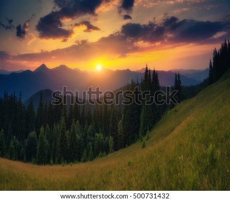 Picturesque view of the mountains that glow under sunlight. Dramatic morning scene. Location place Carpathian national park, Ukraine, Europe. Artistic picture. Beauty world. Warm toning effect.
