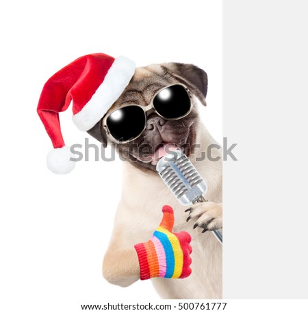 Pug puppy with retro microphone in red christmas hat peeking from behind empty board and showing thumbs up. isolated on white background