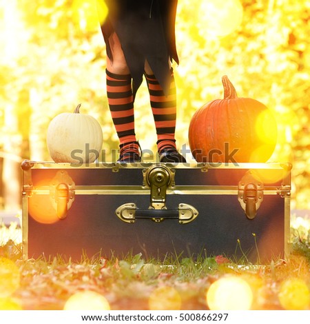 A little girl is wearing black and orange socks outside with fall leaves and halloween pumpkins for a holiday theme or celebration idea.