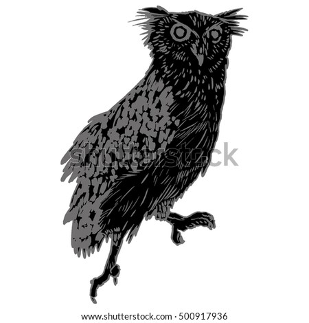 Vector handpicked hand-drawn ilustration with Owl