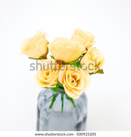 Flowers , roses on white background.