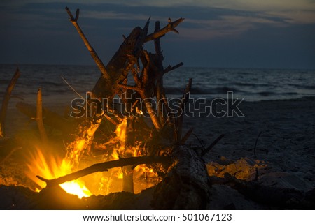 Fire flames background. Bonfire on the sea beach at night.