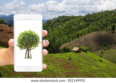 Man use mobile phone , deforested as background.