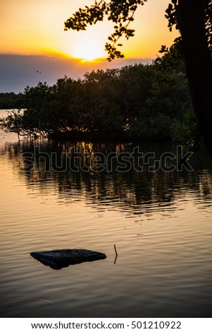 Beautiful sun set in the backwater of Kalapakkam, Tamilnadu, India.