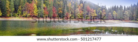 Autumn forest colorful over the water surface of a mountain lake, the largest in the Carpathian Mountains in the background. The famous pond attracts tourists  travelers to its shores
