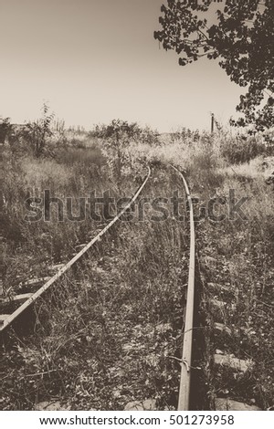 Old overgrown railroad. Black and white photo.