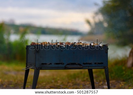 Barbecue in a wood