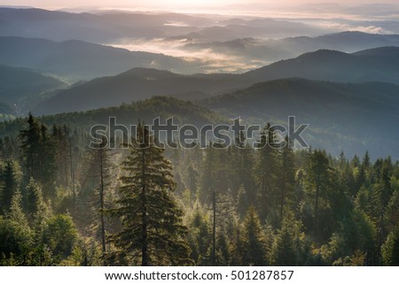 Mountains in morning fog. Aerial view   Royalty-Free Stock Photo #501287857