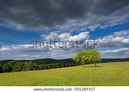 Dark clouds on a sunny afternoon at a meadow field in Germany.