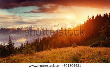Fantastic autumn mountain landscape. Orange during the event. The dramatic scene. Carpathian, Ukraine, Europe. Art photography.