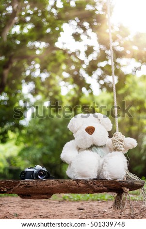 Dolly bright white bear sitting on a swing in the garden. The camera is placed next to it. Represents a cute photographer on vacation.