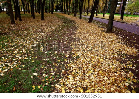 autumn landscape in the park