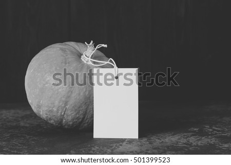 Black and white matte small pumpkin with a white paper blank tag on a dark background. Selective focus still life, close up.