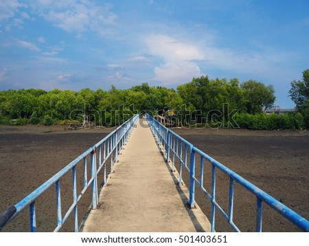 Suspension bridge, Crossing the river, ferriage in the woods Royalty-Free Stock Photo #501403651