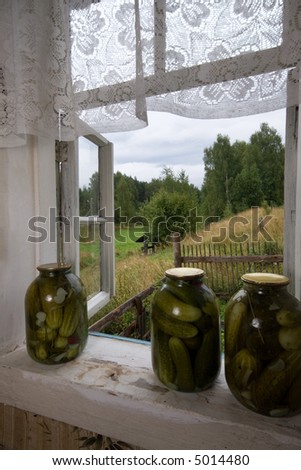 Russia, Kostroma State, village house. Royalty-Free Stock Photo #5014480