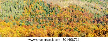Color full trees