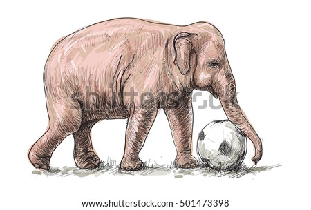 elephant playing football, sketch free hand draw illustration vector
