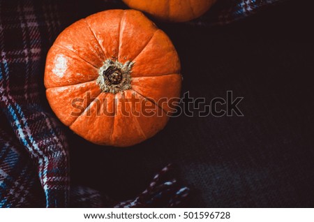 Orange pumpkin on dark background. Fall symbol, Thanksgiving Day concept. Still life, rustic style. Halloween holiday. Autumn picture for your design food blog.