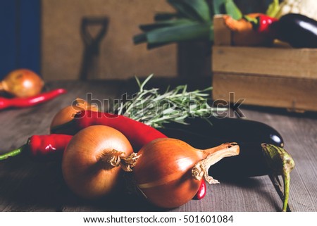 Different kind of local vegitables on the wooden rustic table. Organic food concept. Toned picture