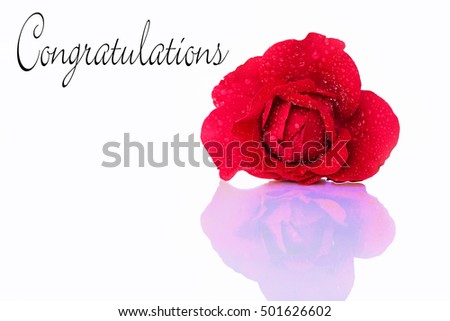 Congratulations card with a red rose