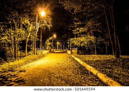 Autumn park at night. Burning lights. Road with autumn leaves.