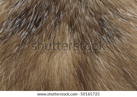 Badger Fur